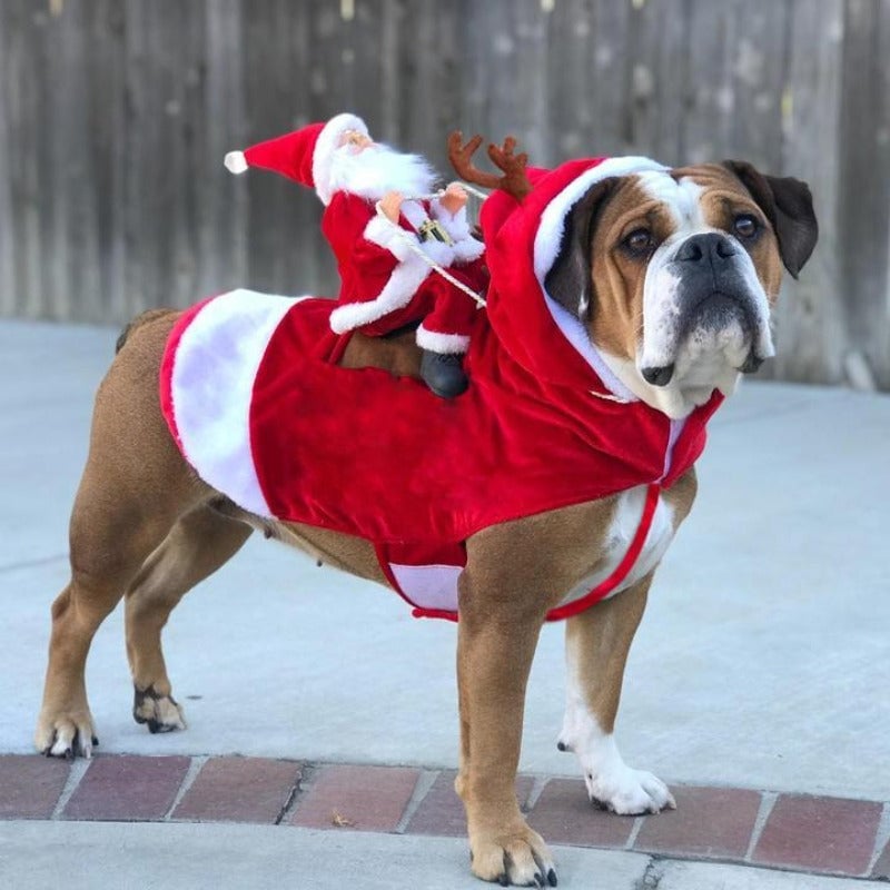 🔥This week's hot sale🔥Soft and Comfortable Christmas Dog Costume
