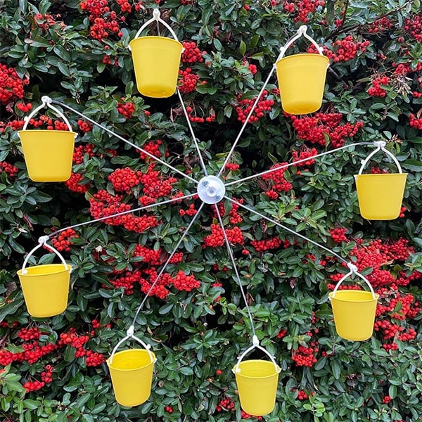 🔥This week's hot sale🔥Ferris Wheel Bird Feeder