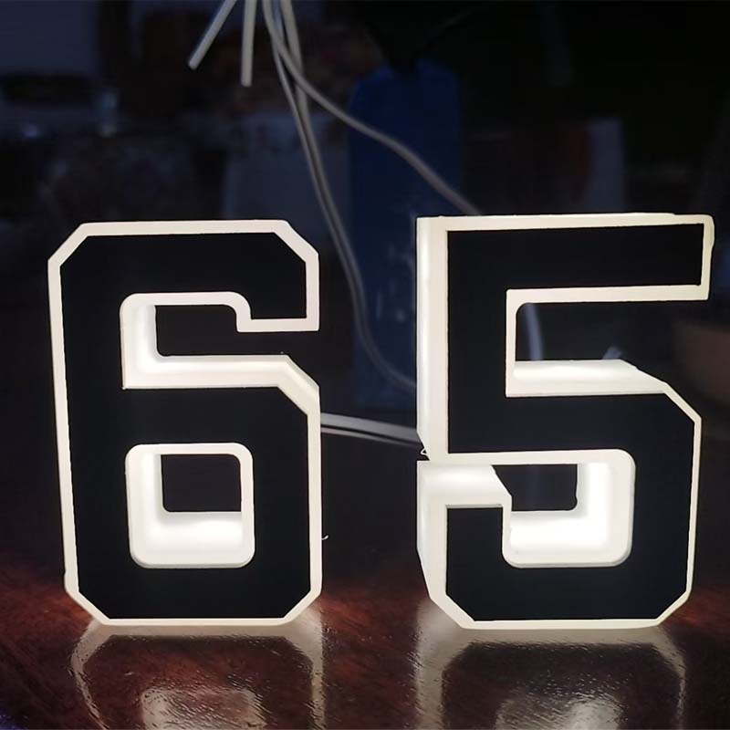 🔥This week's hot sale🔥Powered LED House Numbers
