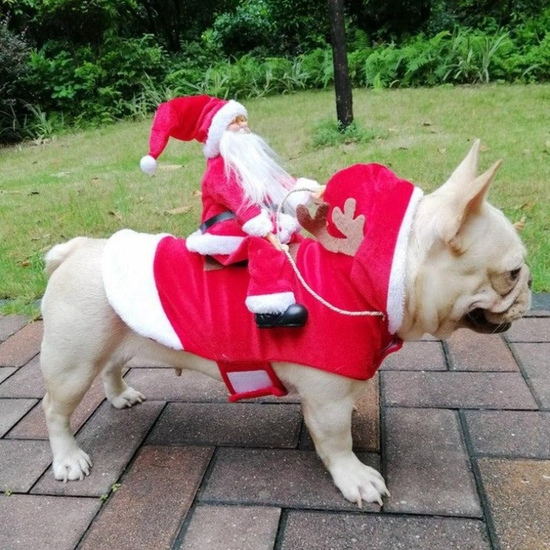 🔥This week's hot sale🔥Soft and Comfortable Christmas Dog Costume