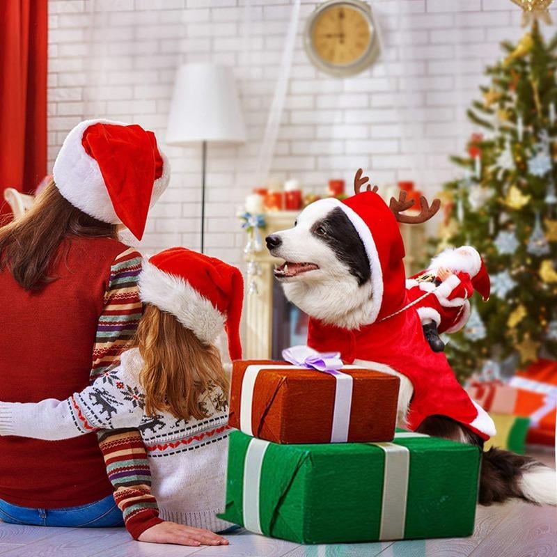 🔥This week's hot sale🔥Soft and Comfortable Christmas Dog Costume