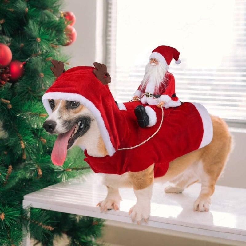 🔥This week's hot sale🔥Soft and Comfortable Christmas Dog Costume