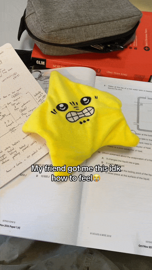 🔥This week's hot sale🔥Angry Starfish Plush Toy