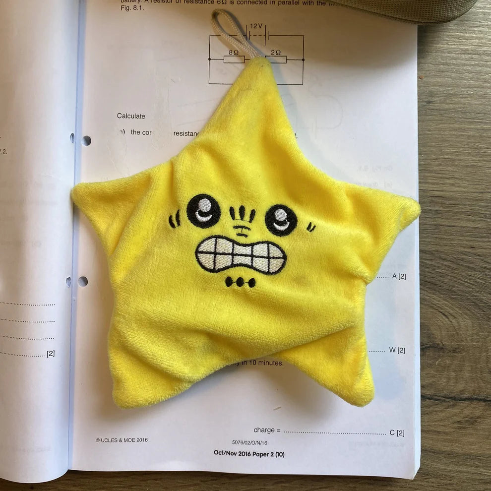 🔥This week's hot sale🔥Angry Starfish Plush Toy
