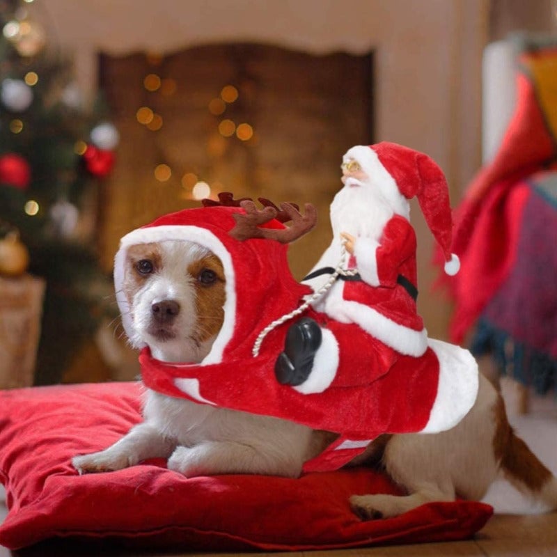 🔥This week's hot sale🔥Soft and Comfortable Christmas Dog Costume