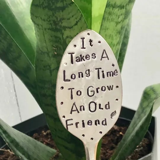 🔥This week's hot sale🔥Garden Marker Friendship Gift