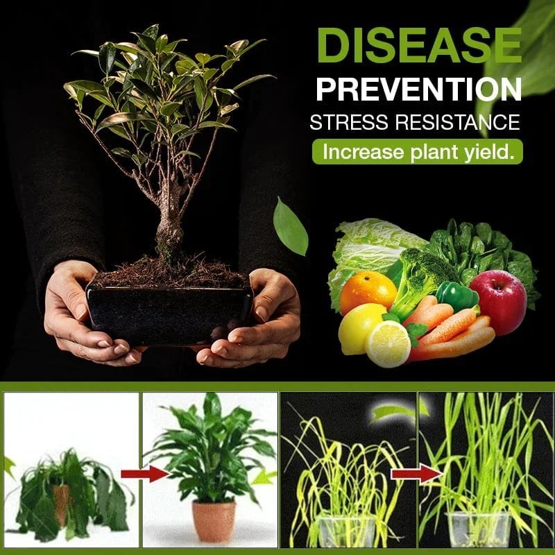 🔥This week's hot sale🔥The treasure of soil revitalisation