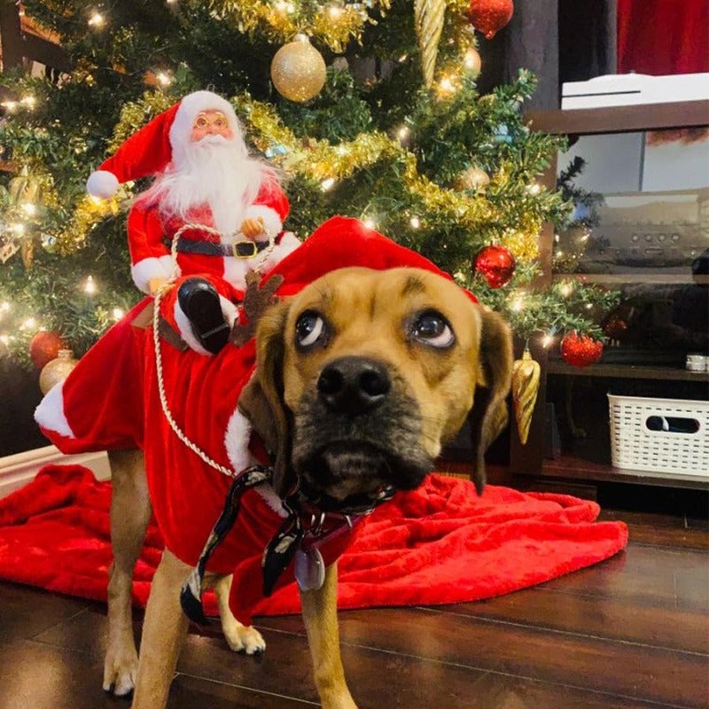 🔥This week's hot sale🔥Soft and Comfortable Christmas Dog Costume
