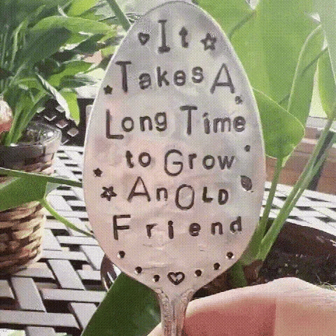 🔥This week's hot sale🔥Garden Marker Friendship Gift